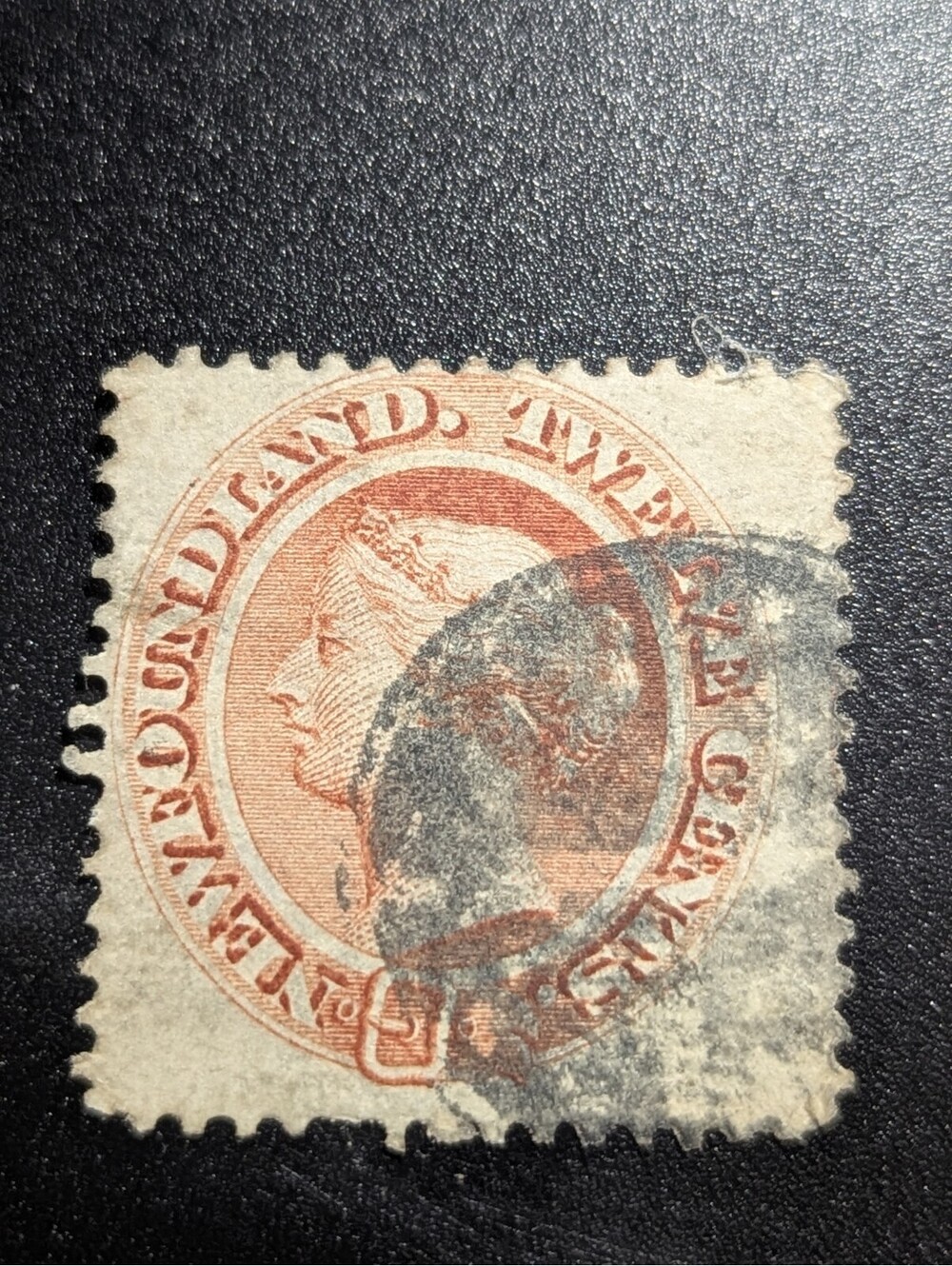 NEWFOUNDLAND #28 Used
